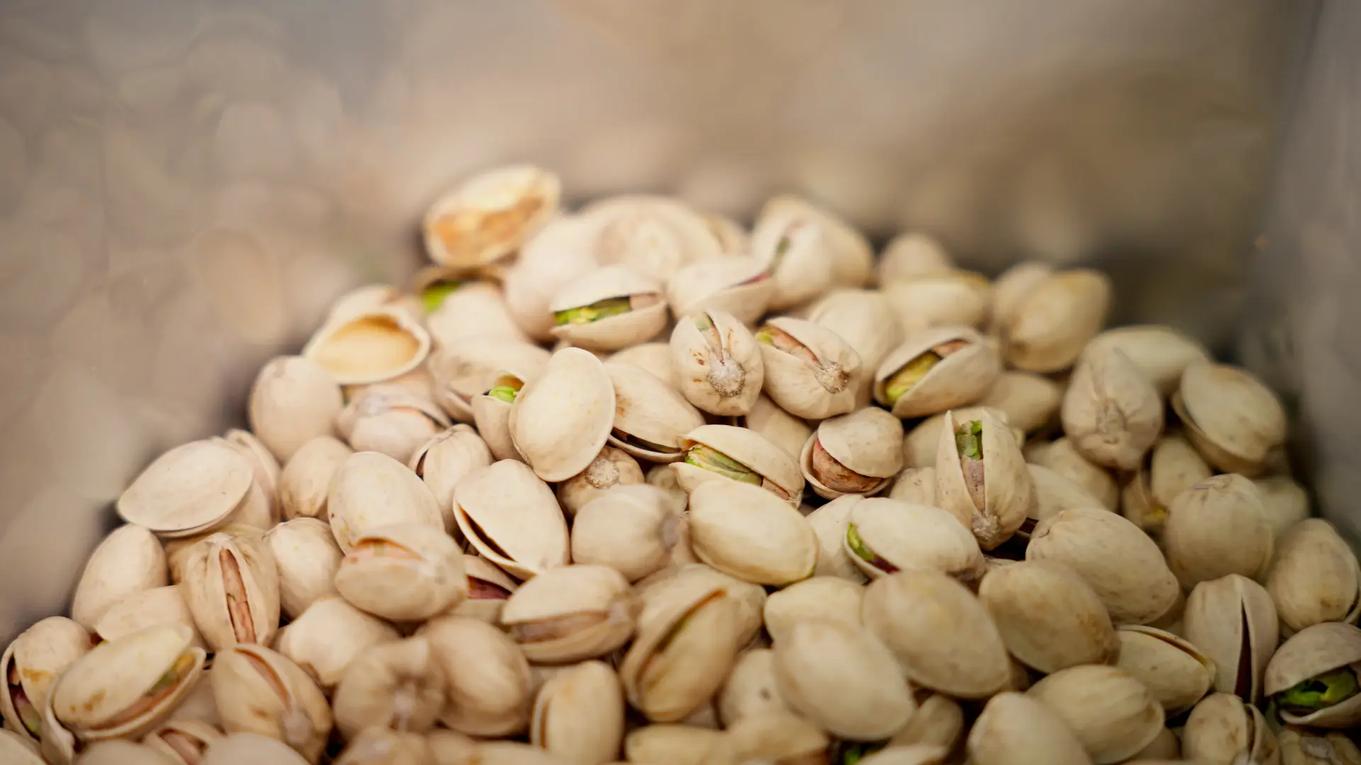 ansotec-pistacho-40-carrusel-03